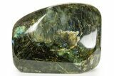 Flashy Free-Standing Polished Labradorite - Madagascar #364191-1